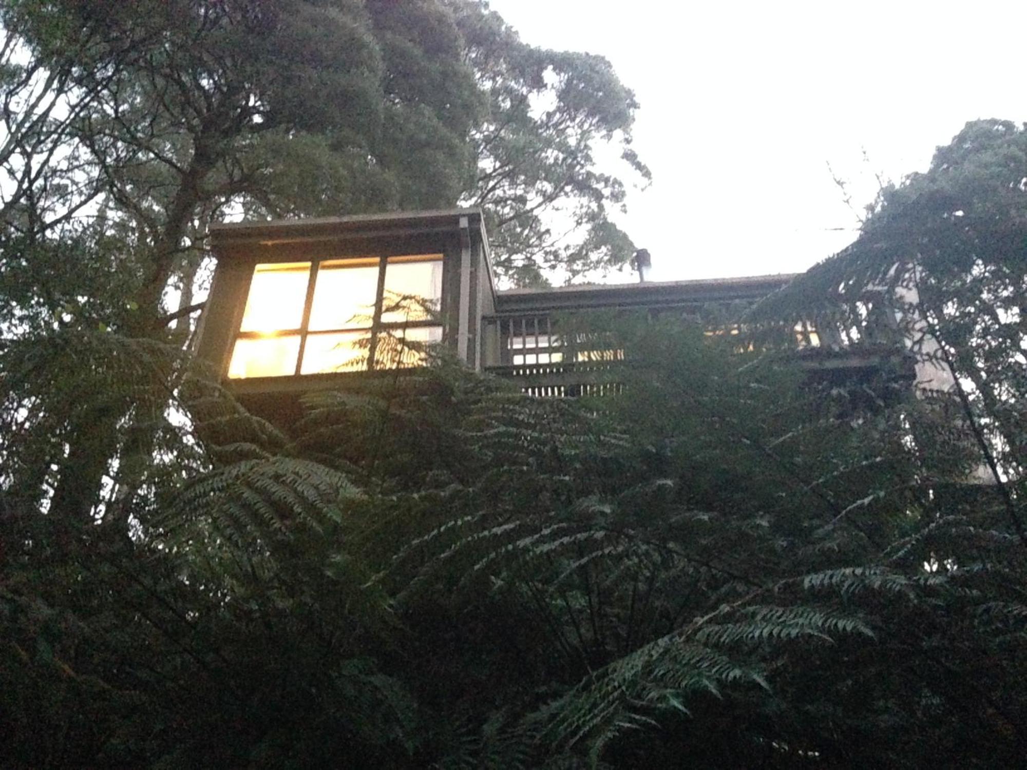 Sassafras Treehouse Private Home In The Dandenong Ranges, Victoria Buitenkant foto