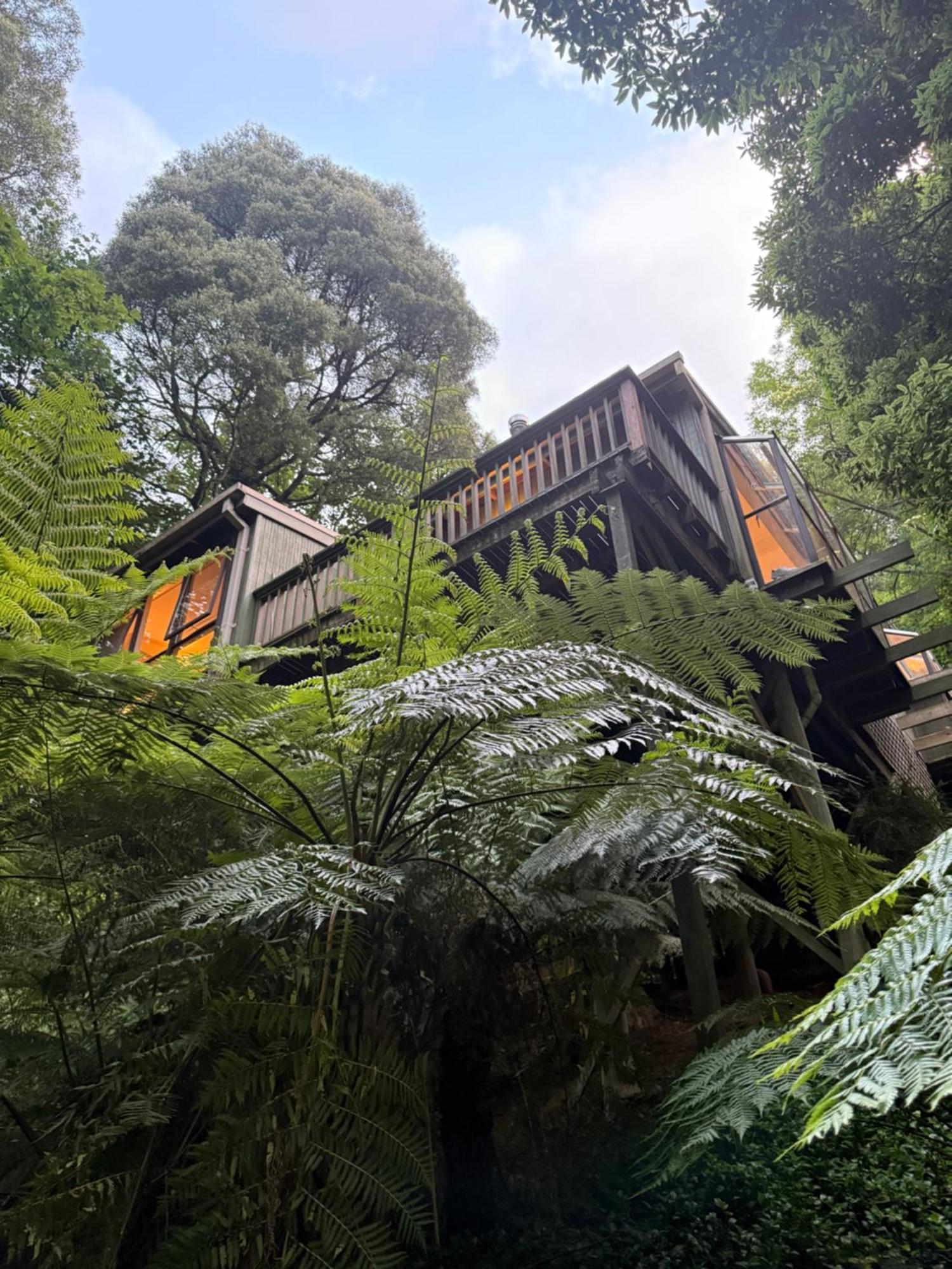 Sassafras Treehouse Private Home In The Dandenong Ranges, Victoria Buitenkant foto