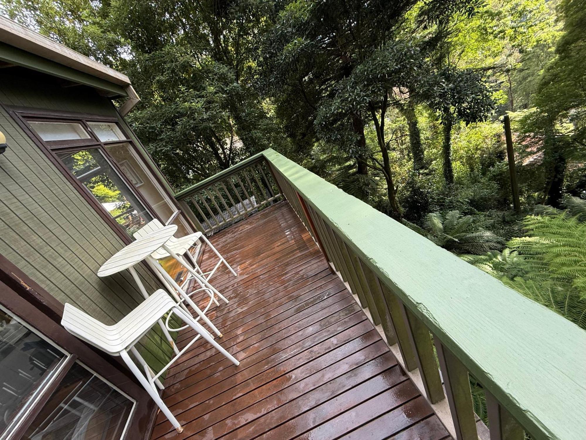 Sassafras Treehouse Private Home In The Dandenong Ranges, Victoria Buitenkant foto