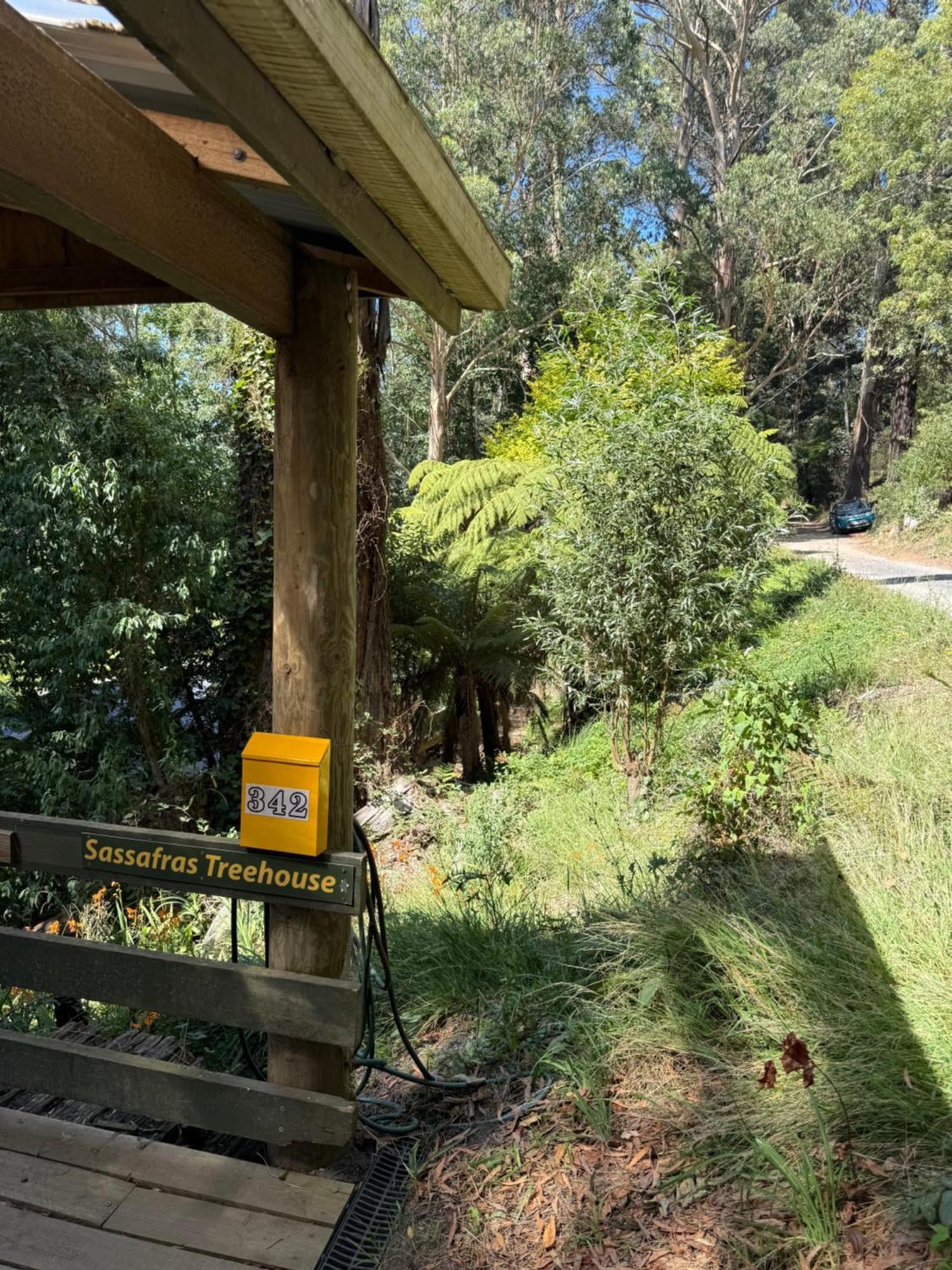 Sassafras Treehouse Private Home In The Dandenong Ranges, Victoria Buitenkant foto