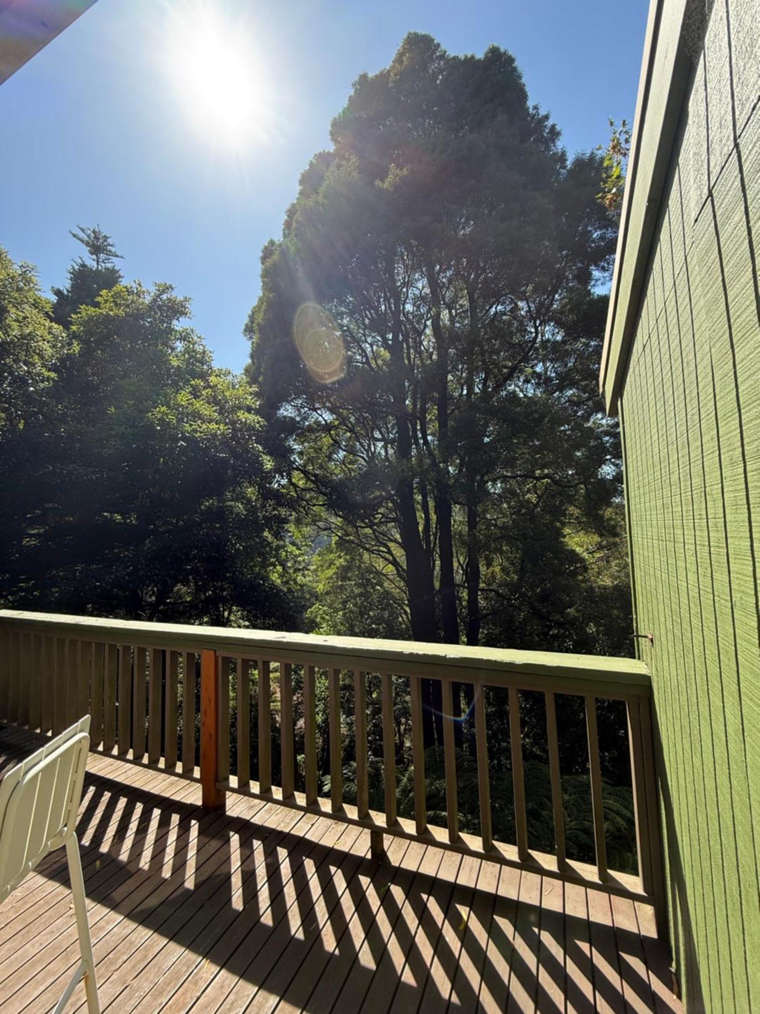 Sassafras Treehouse Private Home In The Dandenong Ranges, Victoria Buitenkant foto